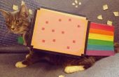 Nyan Cat-Pet Costume