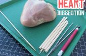 Dissection du coeur
