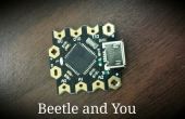 Coléoptère : Minimiser votre Arduino projets