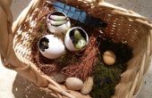 Nest cache-pot Bird