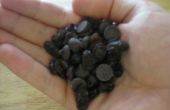 Découvert les raisins secs Chocolate-Covered