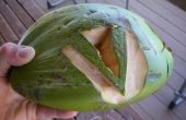 Comment ouvrir et boire une noix de coco