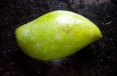Vert de chutney à la mangue