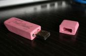 Rose gomme USB Flash Drive