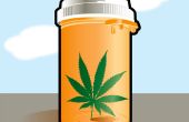 Marijuana médicale : Comestibles