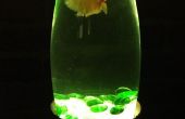 Simple LED allumé Fish Bowl