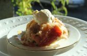 Tarte Tatin - un XIXe siècle délicieux speculoos tarte aux pommes de la vallée de la Loire, née d’une catastrophe culinaire