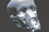 Comment modéliser un crâne anthropomorphique dans Meshmixer