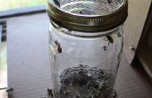 Sugar Coated abeilles à miel - ou - comment tester de Varroa
