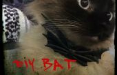 Noeud papillon bricolage Bat