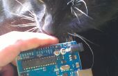 Arduino contrôlée de fenêtre pour chat