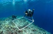 Quadrat au laser pour la cartographie de la barrière de corail