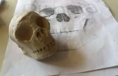 Modélisation d’argile facile - Hidden Treasure Pirate Skull
