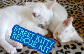 Kit de sauvetage Kitty rue