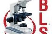 BestCare Lab and Its Implications diagnostiques