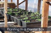 Plantation jardinière - comment planter une boîte de planteur