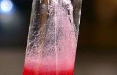 Extraire l’ADN à partir de fraises