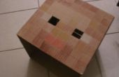 Carton de tête Minecraft Steve
