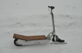 Electric Ice Scooter