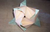 Origami Magic Rose Cube (Valerie Vann)