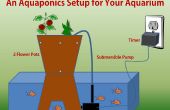 Une installation de culture aquaponique pour votre Aquarium