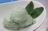 Healthful Mint Chip Ice Cream (vegan)