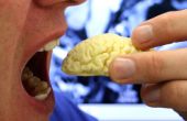 Cerveau chocolat comestible IRM
