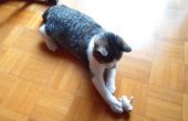 Ficelles de jouets pour chats