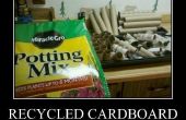 Papier hygiénique des semis Pots - recyclage ultime