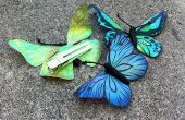 Iridescent Butterfly Clips