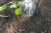 DIY Drip Irrigation bouteilles