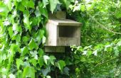 Simple boîte de nidification Bird
