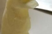Comment sculpter un pingouin de beurre
