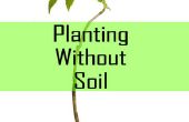 Planter sans sol