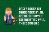Chuck Norris et un Cobra - Cross Stitch le patron gratuit PDF