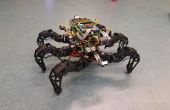 Spider Pig - robot hexapod autonome