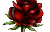 Comment dessiner une rose rouge