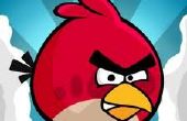 Angry Birds eau ballon jeu