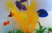 Arrière-plans colorés-aquarium