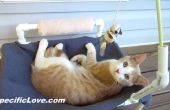 Hamac chat PVC avec des jouets