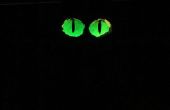 Les yeux rougeoyants de chat