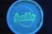 Comment faire pour grandir « Hello World » avec des bactéries GFP