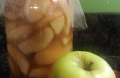 Relleno casero para tartas de manzana (una receta de conservas)