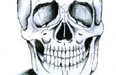 Comment dessiner une tête de squelette