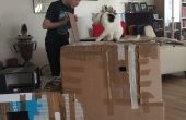 Comment faire une boîte de chat