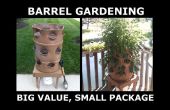 Barrel Gardens: Big Value in a Small Package