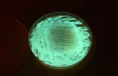 Ampoule de bactéries bioluminescente / testeur de Pollution de l’eau