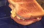 ULTIME BREAK-fête "sandwich" (rapide et facile trop)