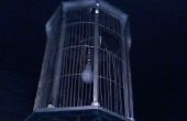Lustre cage à oiseaux