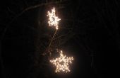 Outdoor accrocher des étoiles de l’arbre. 